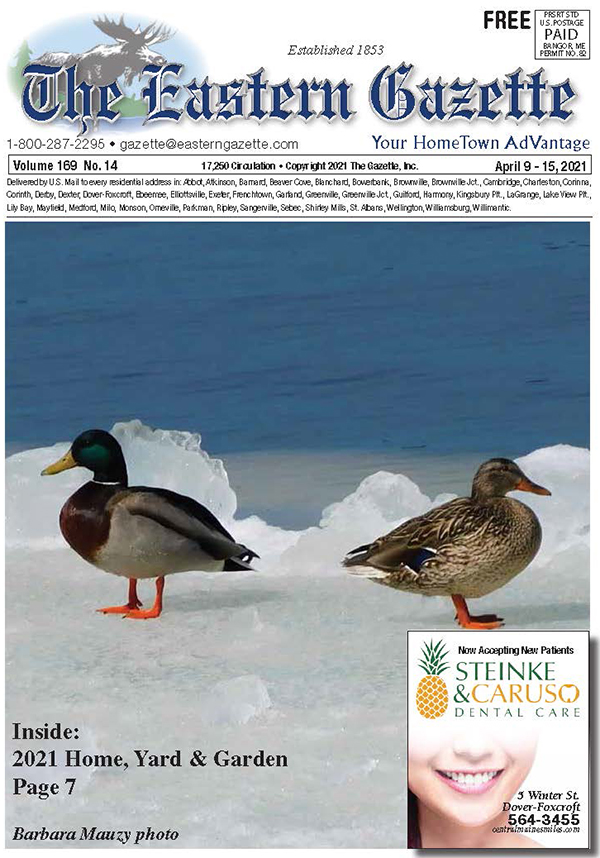 Current Issue