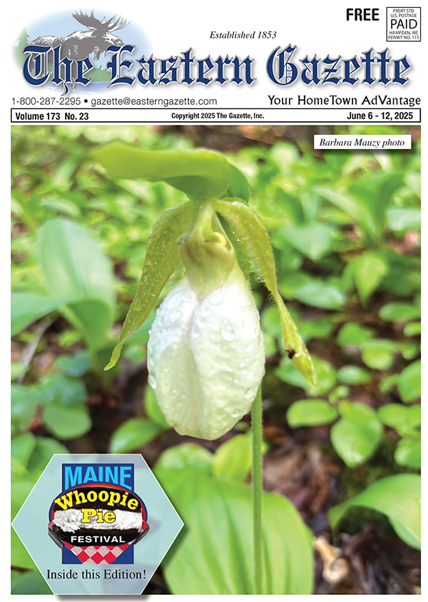Current Issue