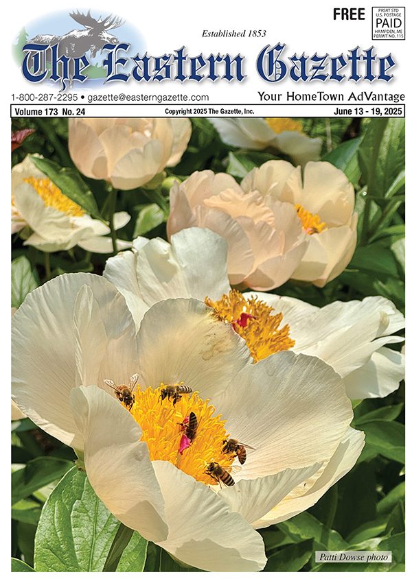 Current Issue