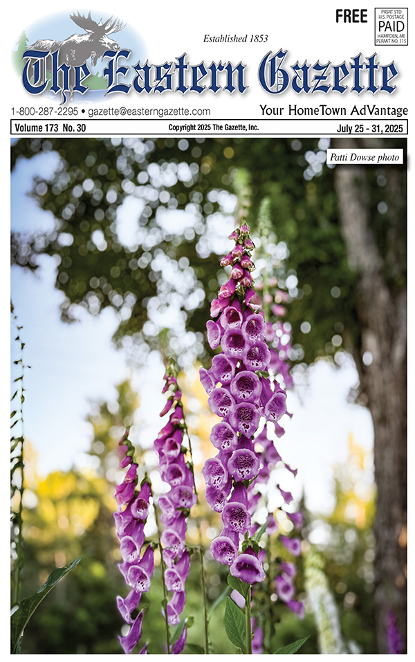 Current Issue