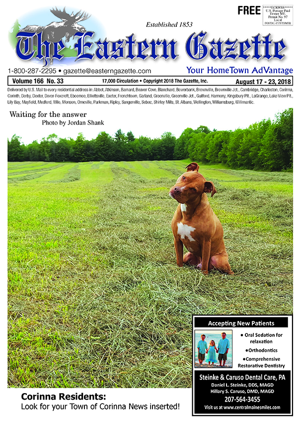 Current Issue