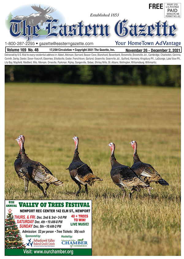Current Issue